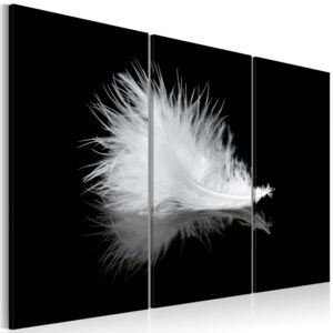 Obraz na plátně Bimago - Peříčko 60x40 cm