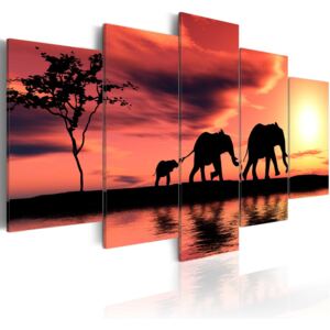 Obraz na plátně Bimago - Rodina afrických slonů 100x50 cm