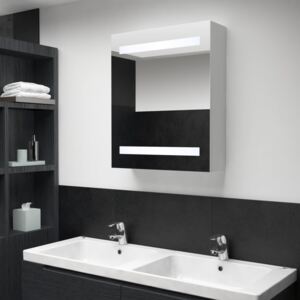 LED koupelnová zrcadlová skříňka 50 x 14 x 60 cm