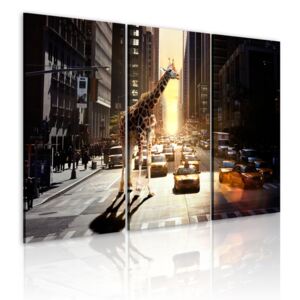 Obraz na plátně Bimago - Giraffe in the big city 60x40 cm