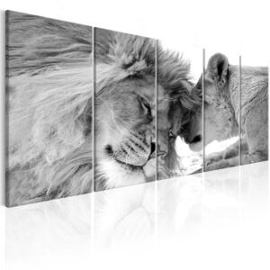 Pětidílný obraz Lvi-černobílý + háčky a hřebíčky ZDARMA Velikost (šířka x výška): 150x60 cm