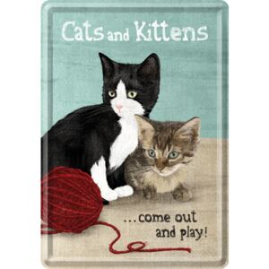 Postershop Plechová pohlednice - Cats and Kittens