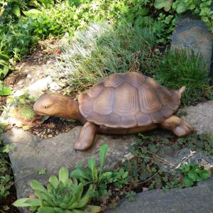 Keramická želva s odnímatelným krunýřem