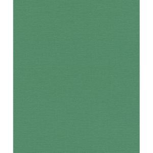 Vliesová tapeta Rasch 804379 z kolekce Hotspot, styl univerzální 0,53 x 10,05 m