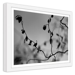 CARO Obraz v rámu - Twig On A Gray Background 40x30 cm Bílá