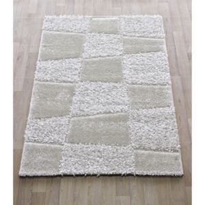Kusový koberec Fashion Shaggy 8067/60 Rozměry: 120 x 170