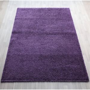 BERFIN Kusový fialový koberec Arte 2013/2245 Rozměry: 200 x 290