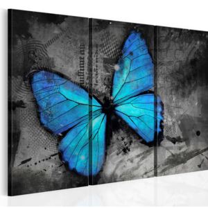 Obraz na plátně Bimago - The study of butterfly 60x40 cm