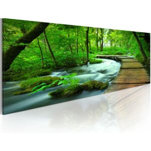 Obraz na plátně Bimago - Forest broadwalk 120x40 cm