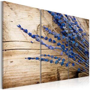 Obraz na plátně Bimago - Lavender 60x40 cm