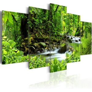 Obraz na plátně Bimago - In the mighty jungle... 100x50 cm
