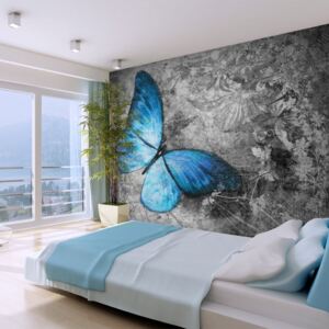 Fototapeta Bimago - Blue butterfly + lepidlo ZDARMA 200x154 cm