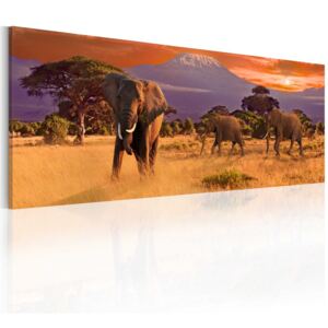Obraz na plátně Bimago - March of african elephants 120x40 cm