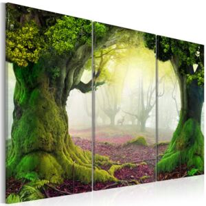 Obraz na plátně Bimago - Mysterious forest - triptych 60x40 cm
