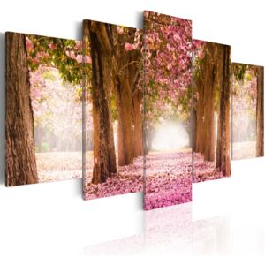 Obraz na plátně Bimago - Pink alley 100x50 cm