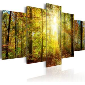Obraz na plátně Bimago - Mystical Forest 100x50 cm