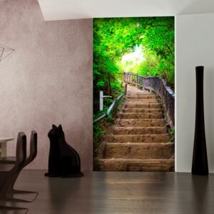 Fototapeta na dveře Bimago - Stairs from nature + lepidlo zdarma 80x210 cm