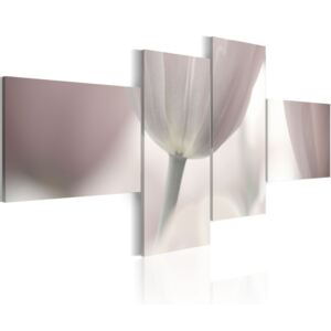 Obraz na plátně Bimago - Bílé tulipány 100x45 cm