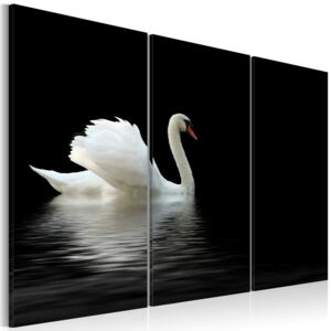 Obraz na plátně Bimago - Osamělá labuť 60x40 cm