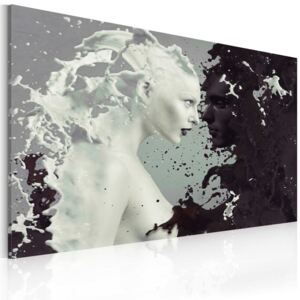 Obraz na plátně Bimago - Black or white? 60x40 cm