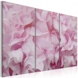 Obraz na plátně Bimago - Azalea v růžové 60x40 cm