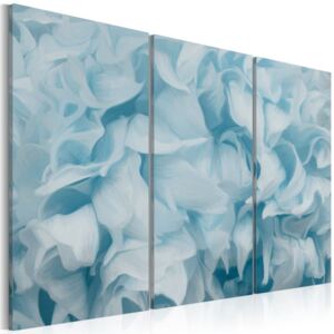 Obraz na plátně Bimago - Azalea v modré barvě 60x40 cm