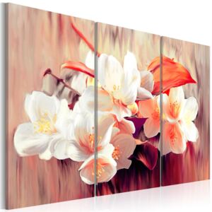 Obraz na plátně Bimago - Breath of spring 60x40 cm