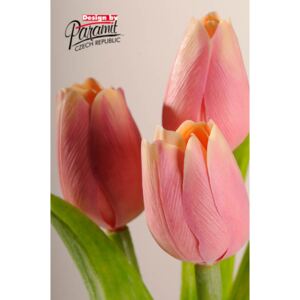 Paramit Umělý tulipán tmavě broskvový