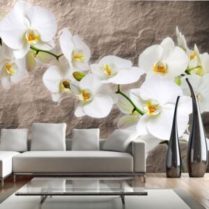 Fototapeta Bimago - Purity of the orchid + lepidlo ZDARMA 200x154 cm