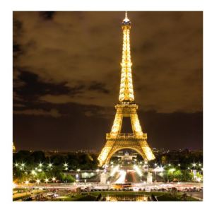 Obraz Eiffelovy věže (K010135K3030)