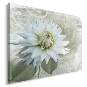 CARO Obraz na plátně - White Flower 40x30 cm