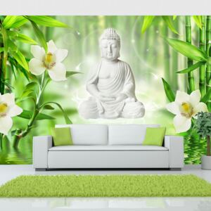Fototapeta Bimago - Buddha and nature + lepidlo ZDARMA 200x140 cm