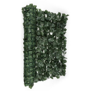 Blumfeldt Fancy Dark Ivy, tmavě zelený břečťan, plot na ochranu před pozorováním, ochrana před větrem, 300 x 150 cm