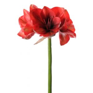 Animadecor Umělá květina - Amaryllis červený
