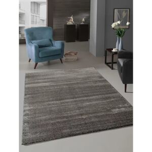 Berfin Dywany AKCE: Kusový koberec Toscana Grey - 80x150 cm