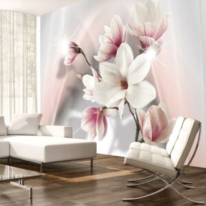 Fototapeta Bimago - White magnolias + lepidlo ZDARMA 200x140 cm