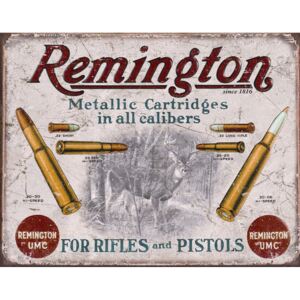 Plechová cedule: Remington Munice 50 - 30x40 cm