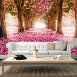 Fototapeta Bimago - Pink grove + lepidlo ZDARMA 200x140 cm