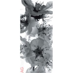 Vliesová fototapeta Černobílá Květiny FTNV-2863 | 90x202 cm