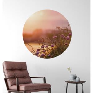Dekorace na zeď přemístitelný eko kruh - květy v obilí Rozměr: Malý kruh 41 cm