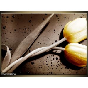 Moderní obraz žlutých tulipánů (F002514F7050)