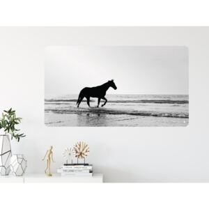 Kůň na pláži - přemístitelný plakát samolepicí Rozměr: L: (š x v) 126 x 70 cm