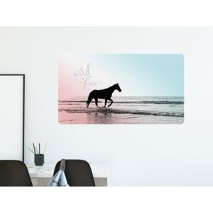 Kůň na pláži blue - přemístitelný plakát samolepicí Rozměr: M: (š x v) 107 x 60 cm