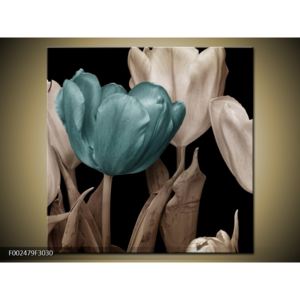 Obraz tulipánů - modrá černobílá (F002479F3030)