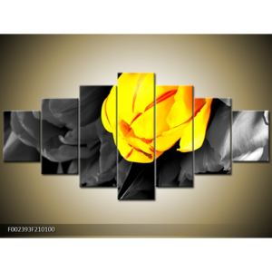 Obraz žlutooranžového květu (F002393F210100)