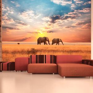 Fototapeta Bimago - African savanna elephants + lepidlo ZDARMA 200x154 cm
