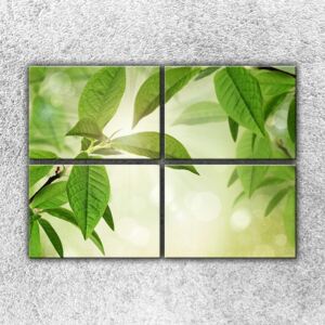 Zelené listy (140 x 100 cm) - Čtyřdílný obraz
