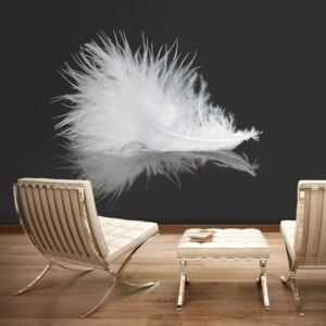 Fototapeta Bimago - White feather + lepidlo ZDARMA 200x154 cm