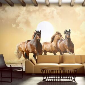 Fototapeta Bimago - Running horses + lepidlo ZDARMA 200x154 cm