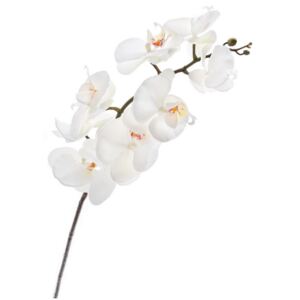 Umělá květina, orchidej bílá 1 ks (Dekorační umělá květina, bílá orchidej. Celková délka cca 95 cm. Vhodné do větší vázy.)